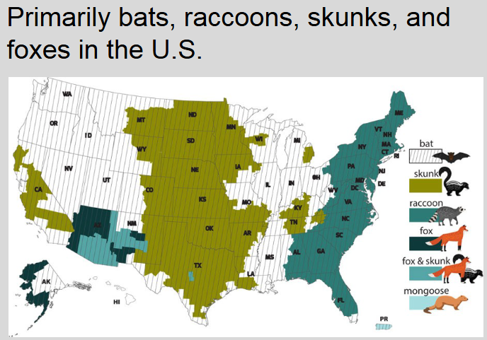 <ul><li><p>Mostly raccoons here in Georgia</p></li></ul><p></p>