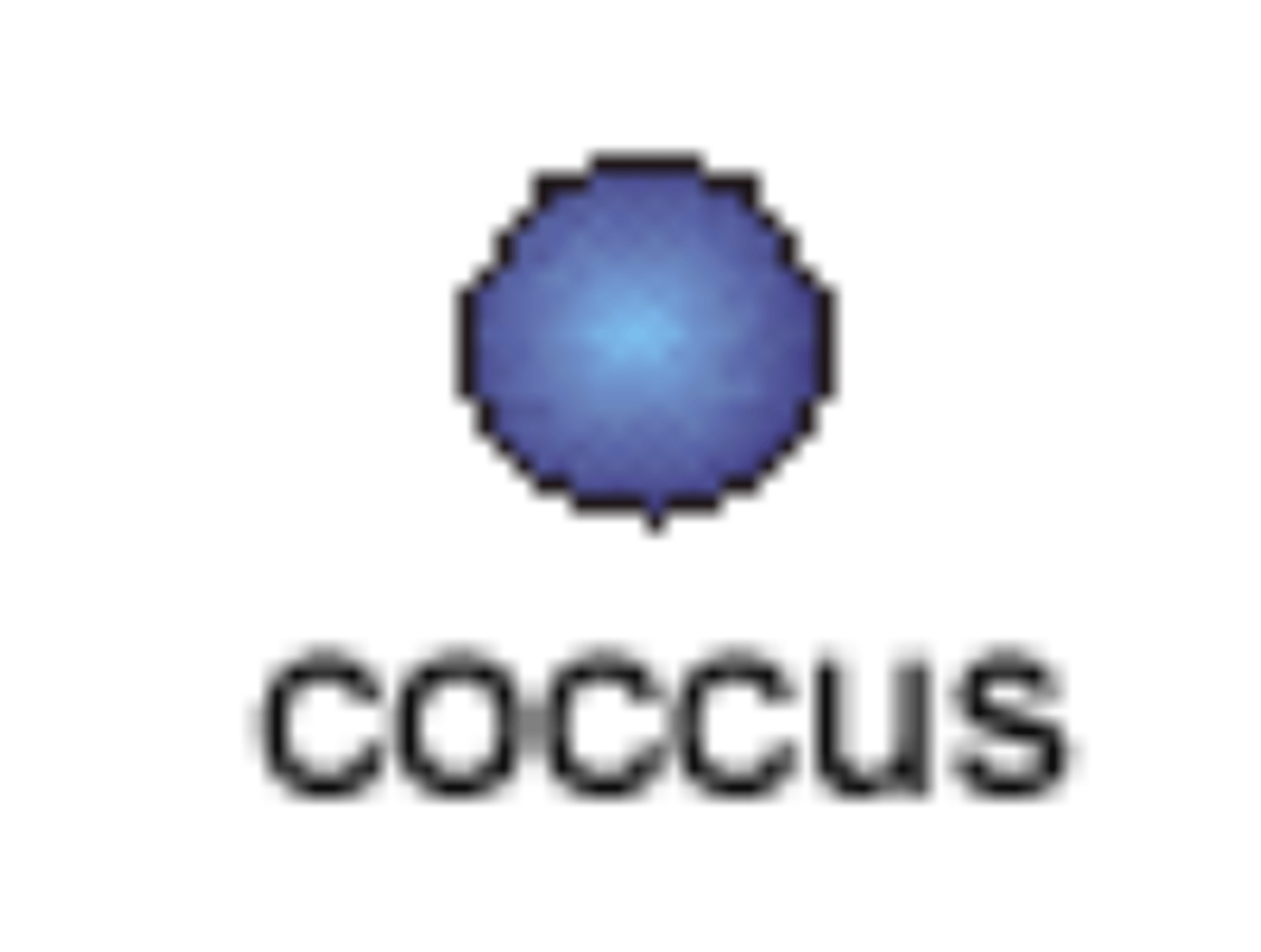 <p>A spherical bacterial cell.</p>