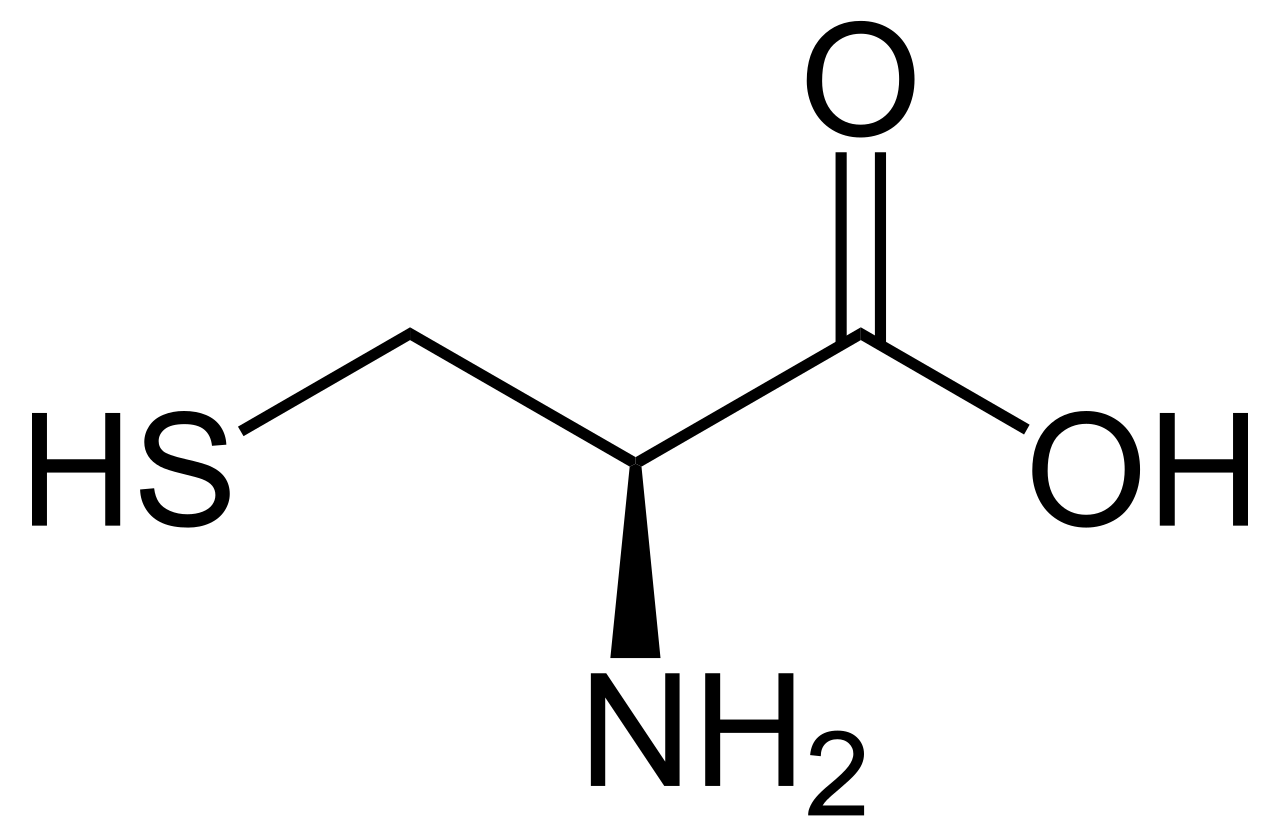 <p>cysteine</p>