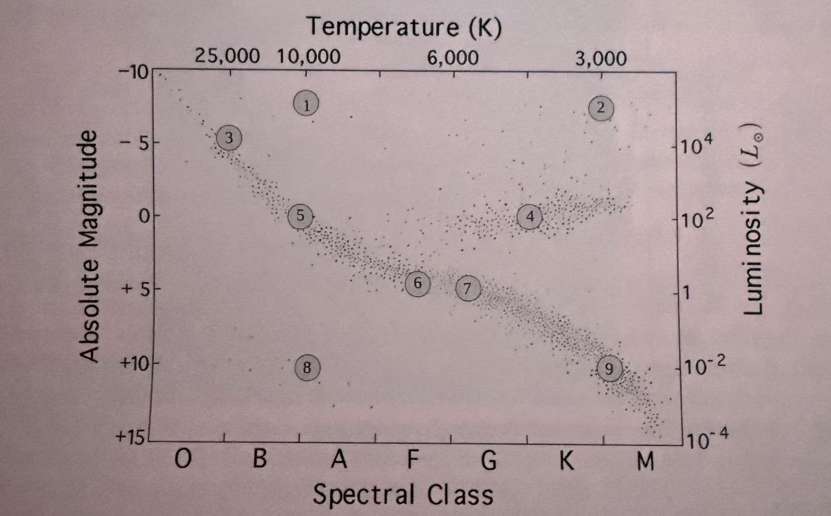 <p>Which one is a burned-out white dwarf made entirely out of carbon?</p>