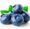 <p>een blauwe bes</p>