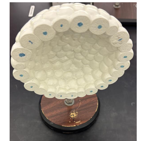 <p>what stage is this </p>