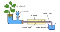 <p>1) Sample: </p><p>- must be cut from a plant underwater to prevent any air entering the xylem and breaking the water column</p><p>2) Potometer setup: </p><p>- potometer filled with water and air bubbles removed</p><p>- sample attached to potometer using rubber seals and petroleum jelly to make equipment airtight</p><p>- one bubble introduced; record distance of bubble at start, leave for set amount of time, then record the distance it moved</p><p>3) Calculation:</p><p>- distance that bubble moved can be used to work out volume of water in tube that evaporated</p><p>- volume of water divided by time it took to lose that volume gives the rate of transpiration</p><p>- apparatus reset and conditions changed (eg move lamp) to investigate the effect on the rate</p>