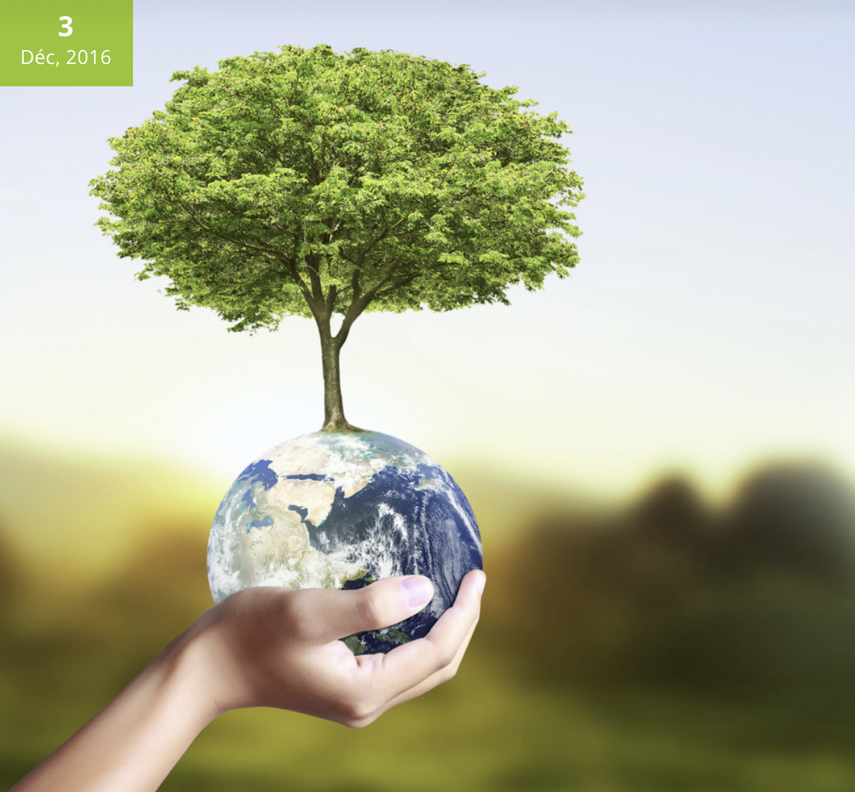 <p><span>protéger l’environnement</span></p>