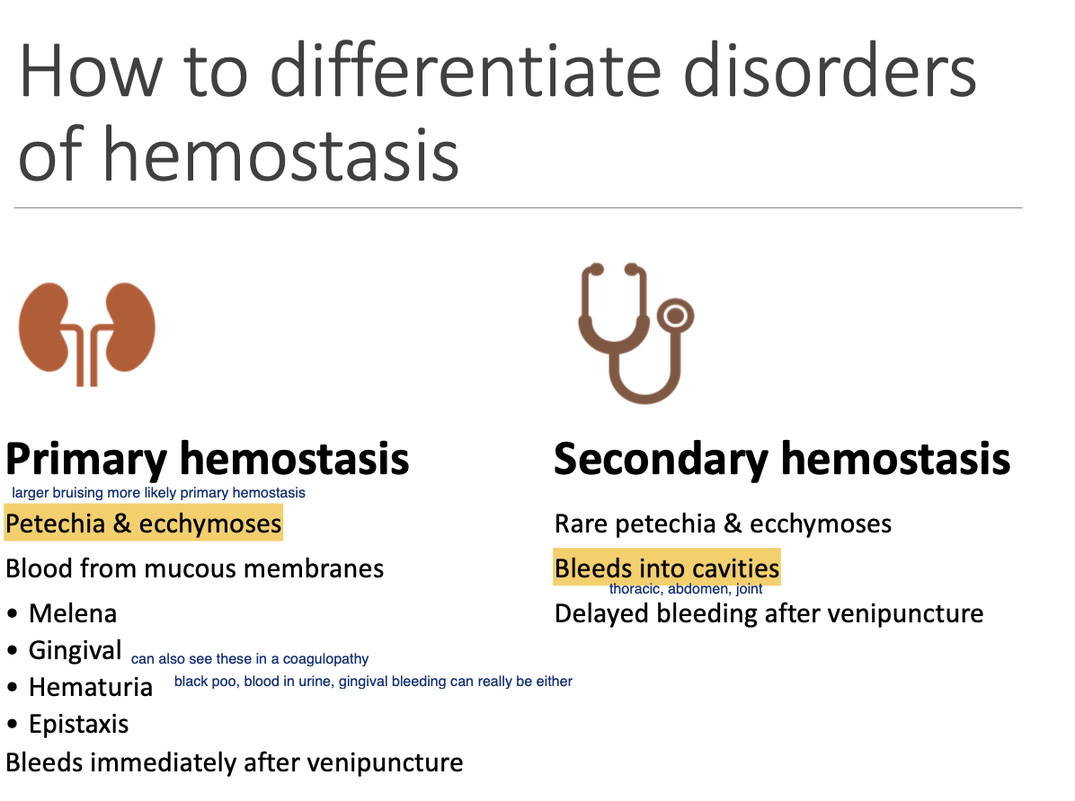 <p><strong>Petechia and ecchymoses.</strong></p><p>Blood from mm (can be either).</p><p>Bleeding immediately after venipuncture.</p>