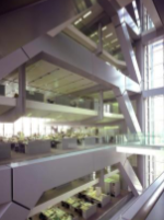 <p>eccentric brace because of lateral loads and earthquakes</p><p>part in the middle allows movement and flexibility</p>