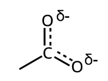 <p>average of all of a molecule’s resonance structures and indicates areas of high and low electron density</p>