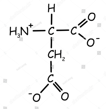 <p>What is this amino acid?</p>
