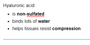 <p>non-sulfated, binds lots of water, helps tissues resist compression</p>
