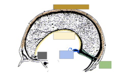 <p>label all</p>