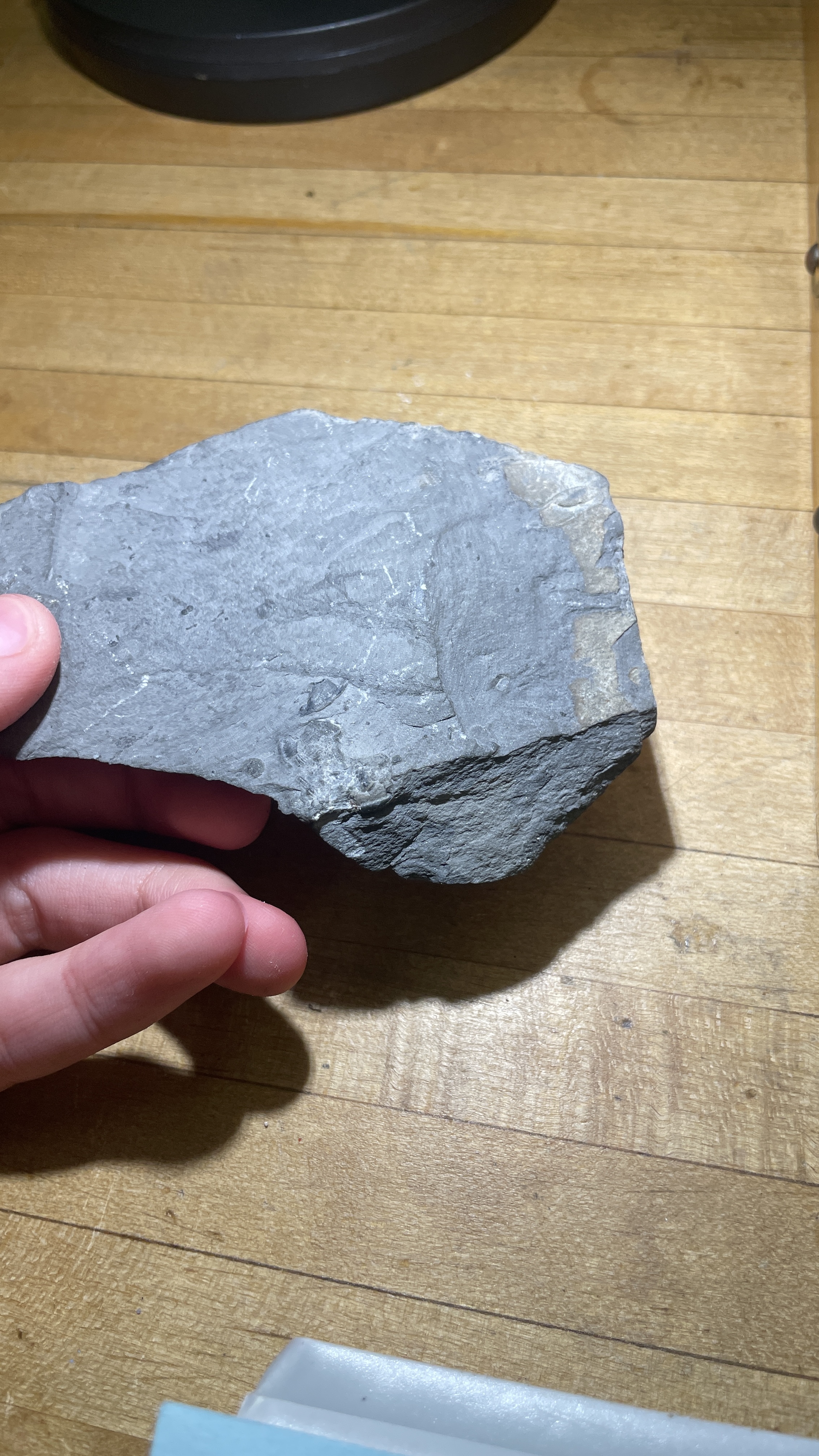 <p>Shale</p>