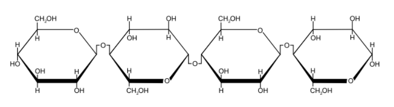 <ul><li><p>Unbranched polymer made up of beta glucose joined by 1,4 glycosidic bonds </p></li><li><p>Every other beta glucose is inverted 180° relative to the previous one to group the hydroxides (OH) so the bonds can form </p></li><li><p>Long straight chains lie parallel to each other held together by hydrogen bonds </p></li></ul><p></p>