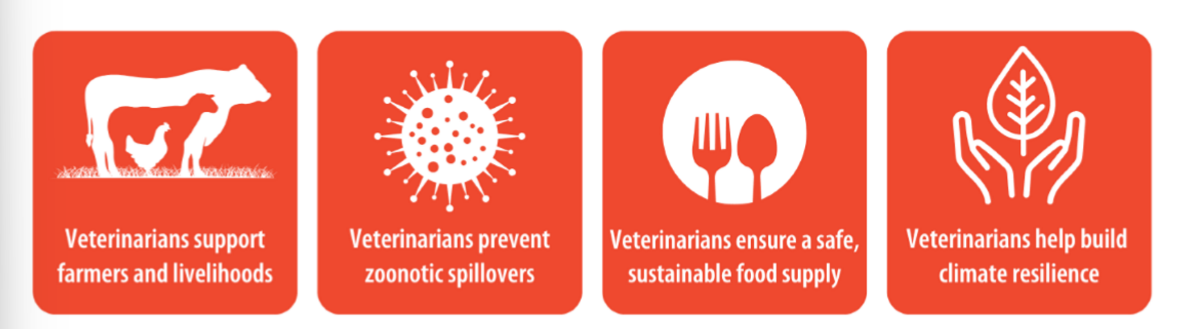 <ul><li><p>monitor production</p></li><li><p>inspect ani products </p></li><li><p>educate on ani health, welfare, disease</p></li><li><p>preventative med</p></li><li><p>regulatory oversight</p></li><li><p>etc.</p></li></ul><p></p>