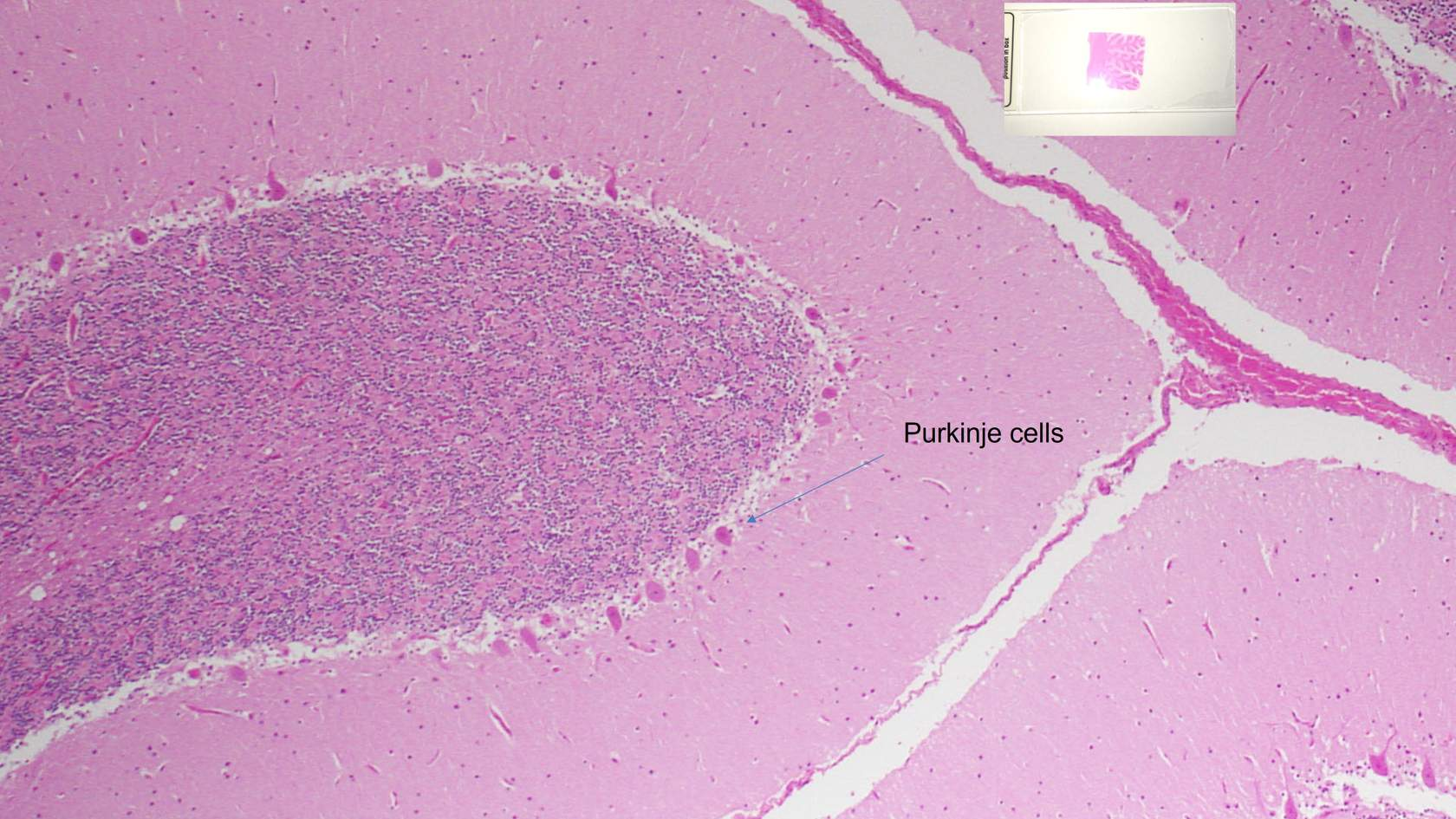 <p>What is this and how do we know?</p>
