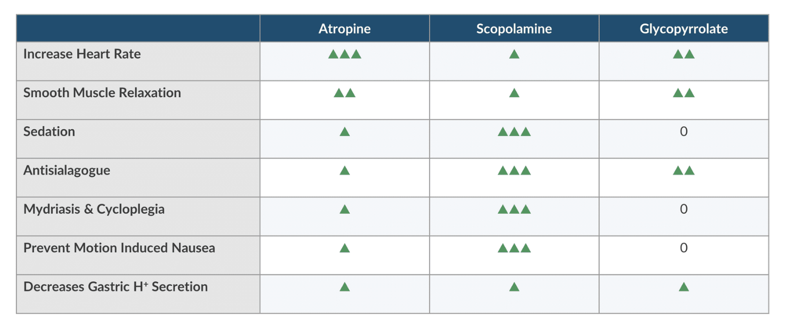 <p>Atropine &amp; glyco> scop</p>