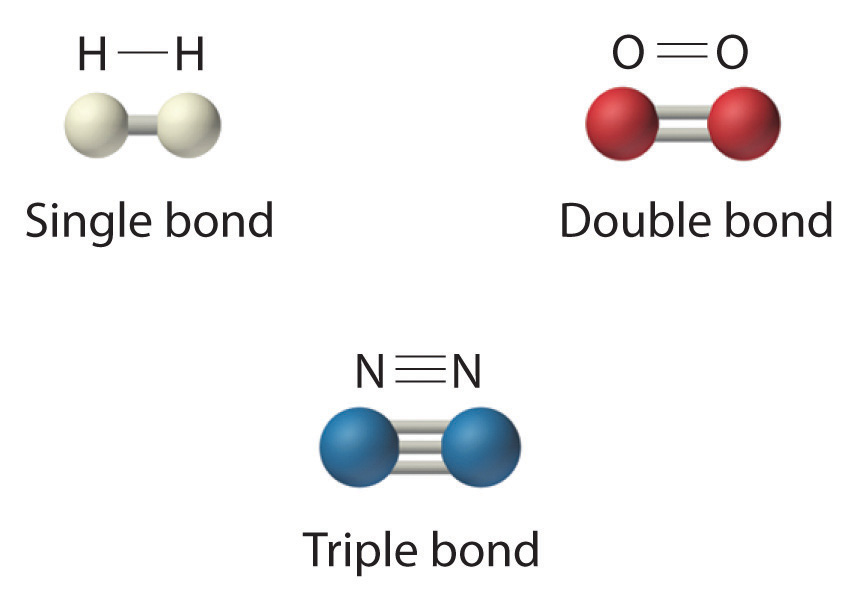<p>What are the types of covalent bonds based on shared electron pairs?</p>