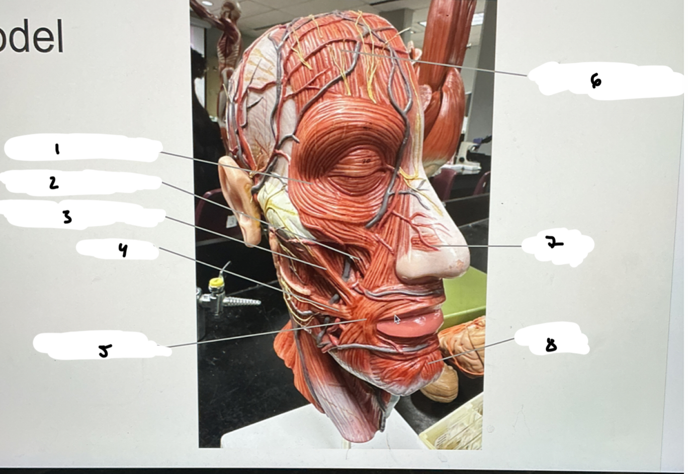 <p>1.XX</p><p>2.XX</p><p>3.XX</p><p>4.XX</p><p>5.XX</p><p>6.XX</p><p>7.XX</p><p>8.XX</p>