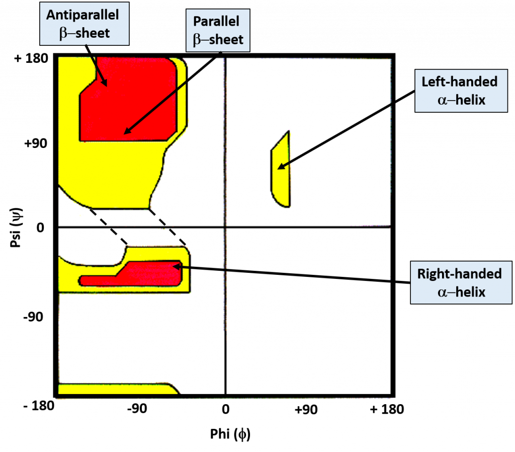 <p>shows common secondary structural elements and the acceptable range of rotation</p>