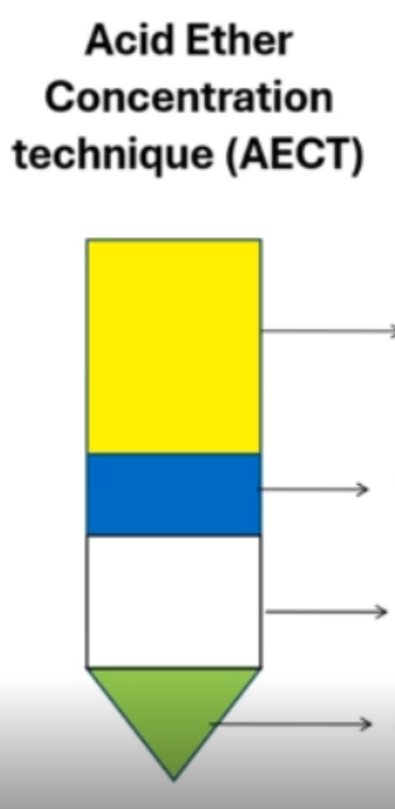 <p>LAYERS</p>