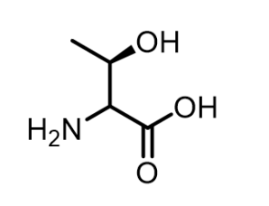 <p>What is this?</p>