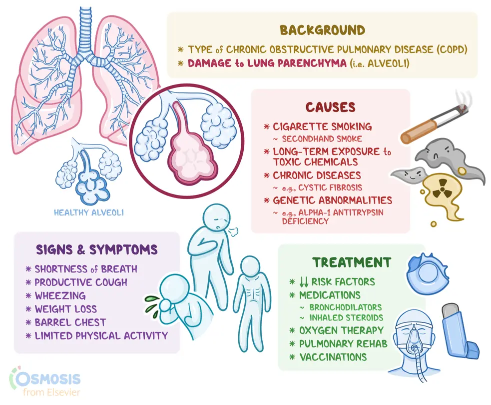 <p>Caused by inadequate oxygenation. Emphysema is a chronic lung disease that destroys the walls of air sacs, causing a weaker defense system, leading to pneumonia</p>