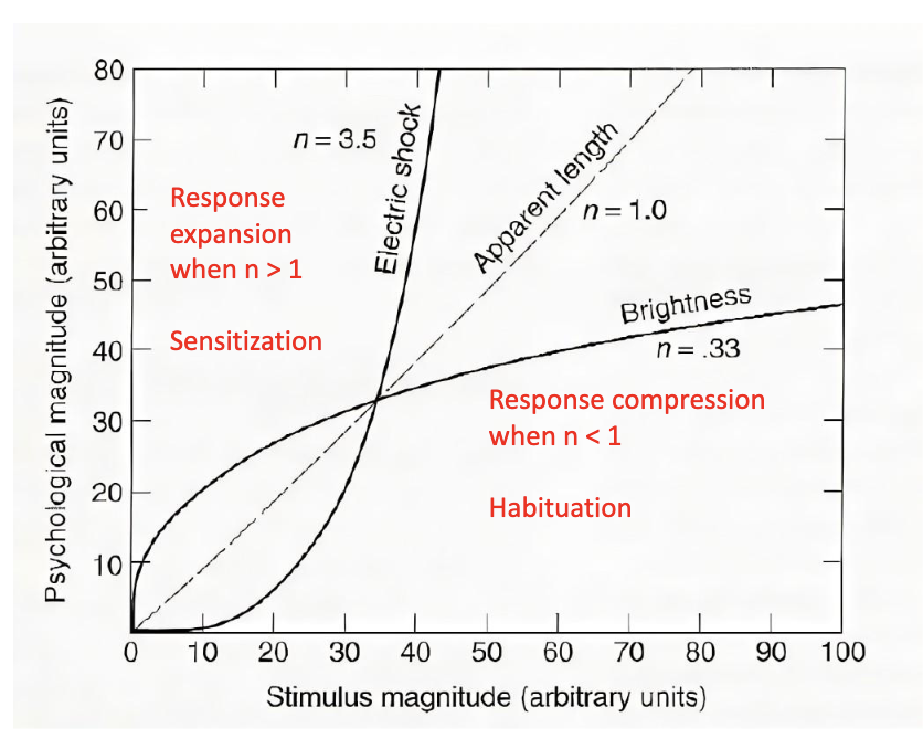 <p>P = KS^n </p><p>where </p><p>P = Perceived magnitude </p><p>K = a constant </p><p>S = stimulus intensity </p>