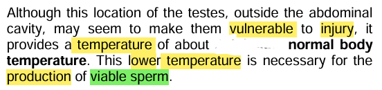 <p><strong><u>The Testes </u></strong></p><ul><li><p>Para diri body temperature</p></li></ul><p></p>