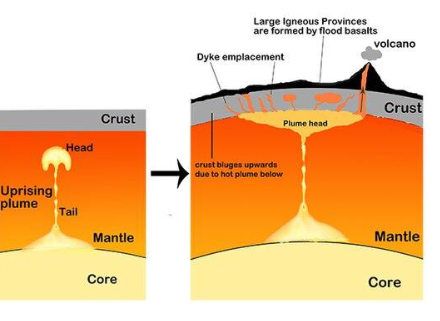 <ul><li><p>consequence of mantle plums</p></li></ul><p></p>