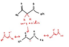 <p>They are very acidic due to stabalization!</p>