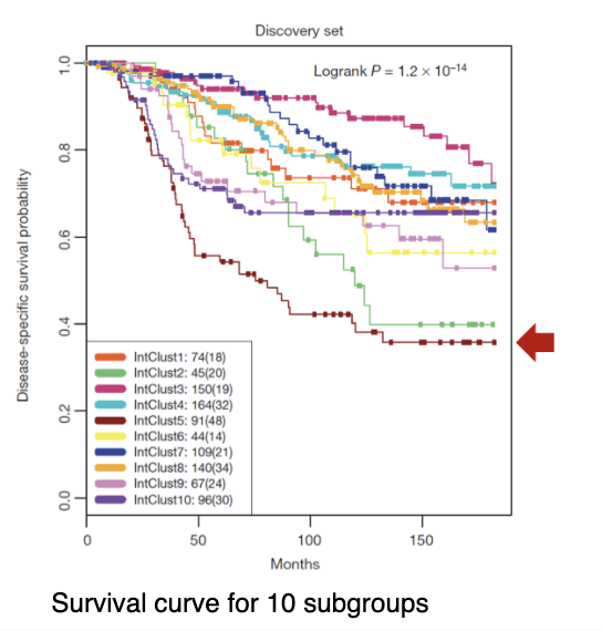 <ul><li><p>NGS allows <strong>stratification of patients into subgroups</strong> (broader classification than IHC)</p></li><li><p>Identifies <strong>>10 distinct breast cancer subgroups</strong></p></li><li><p>These subgroups have <strong>different clinical outcomes (survival differences)</strong></p></li><li><p>Survival curves show <strong>clear separation between groups</strong> (log-rank P ≈ 1.2 × 10⁻¹⁴)</p></li><li><p>Enables <strong>more precise prognostic classification</strong> beyond traditional subtypes</p></li></ul><p></p>