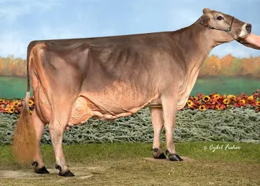 <p>Huge but calpon</p><ul><li><p>#1 in size</p></li></ul><p></p>