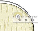 <p>15-17 nm </p>