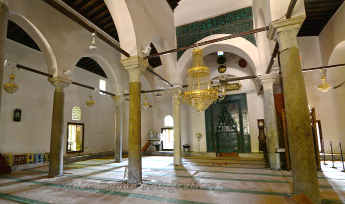 term image