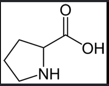 <p>name this amino acid</p>