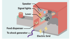 <p><span style="line-height: 115%;">Developed after classical conditioning. Developed in 1930s by B.F. Skinner. He created a device called the operant chamber (‘Skinner box’). This device ensured that test animals (rats and pigeons) were not exposed to external environment, and could be controlled by experimenter alone. Skinner found that the consequences of an animal’s behaviour (such as an electric shock or food) would influence the likelihood that the behaviour would be repeated. </span></p>