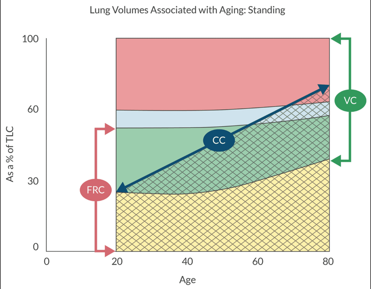 <p>normal= CC just above RV</p><p>as we age pleural pressure progressively gets higher and the smaller airways will close sooner (this explains reduction in PaO2 with aging)</p><p>Aging=</p><p>increased FRC, CC, RV</p><p>and decreases VC</p>
