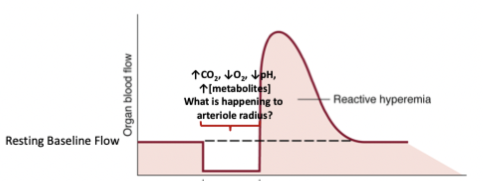 <p>Involves a rebound of high blood flow after a period of deprivation and its metabolic changes</p>