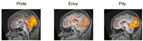 <p>Low warmth and competence groups show reduced mPFC activation indicating reduced mentalizing</p>