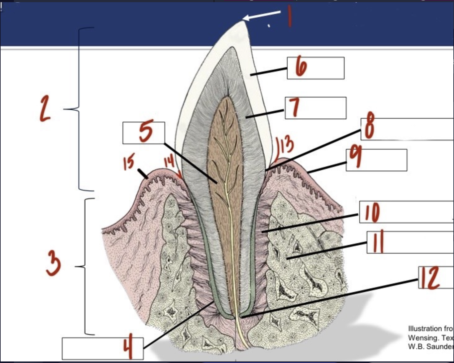 <p>What is 3?</p>