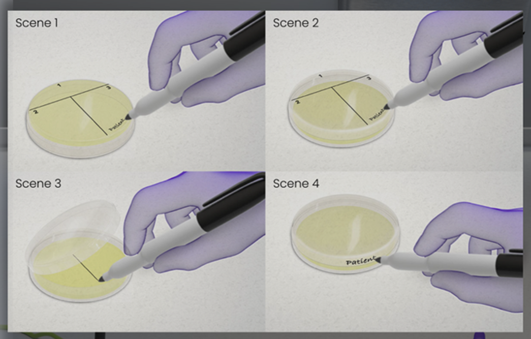 <p><span>Which scene illustrates the correct way to label a plate? Note: the difference between scene 1 and scene 2 is that scene 1 labeling occurs on the bottom of the plate and scene 2 labeling occurs on the lid of the plate. *</span></p>