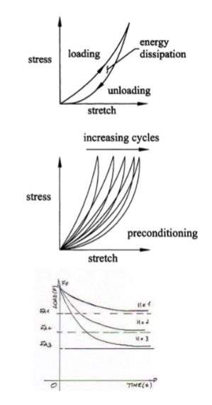 <p>Describes the behaviour of biological tissues</p><ul><li><p>nonlinear (initially compliant, then very stiff)</p></li><li><p>pronounced hysteresis during cycling</p></li><li><p>the stress strain curve shifts following several cycles and tends to stabilise after a number of cycles (preconditioning)</p></li><li><p>hysteresis decreases during preconditioning and response becomes repeatable after 3-10 cycles</p></li><li><p>relaxation curve similarly change with cycling</p></li></ul><p></p>