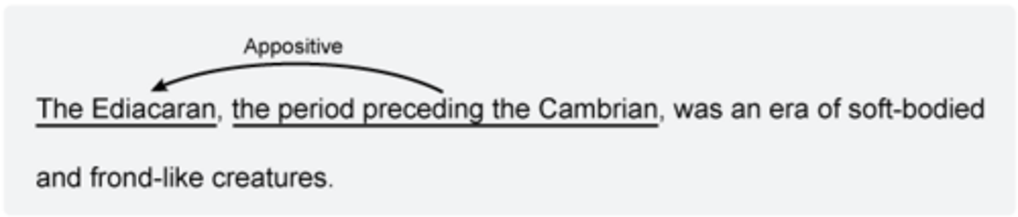 <p>c. Ediacaran,</p><p>When appositives (words or phrases that rename a noun) can be removed from a sentence without changing its meaning (as they usually can), they should be set off from the sentence by commas.</p><p>"The Ediacaran" occurred just before the Cambrian. Therefore, the appositive "the period preceding the Cambrian" can be taken out without changing the sentence's meaning and should be set off with commas.</p>