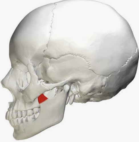<p>What is this?</p>