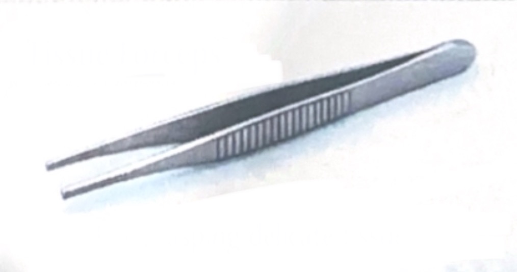 <p>Tissue Forceps</p>