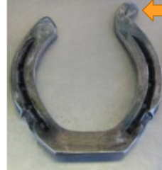 <p>how do you manipulate trailer hoof pain</p>