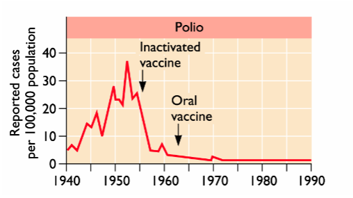 <ol><li><p>Inactivated Vaccine</p></li><li><p>Oral Vaccine</p></li></ol><p></p>