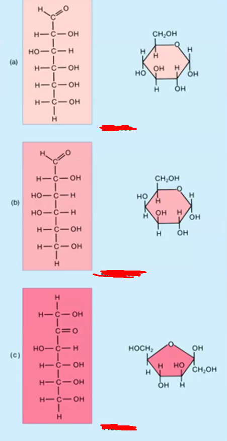 <p>Can you identify these? what is the whole group called?</p>