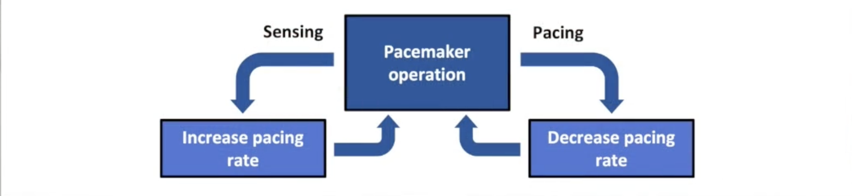 <ul><li><p>Regularize rate of ventricular response to AF</p></li><li><p>Pace between intrinsic beats to prevent large variations in rate</p></li><li><p>Uses rolling window</p></li><li><p>Pace slightly faster than average rate</p></li><li><p>Increases % RV pacing: no longer used in non-CRT devices</p></li></ul><p></p>