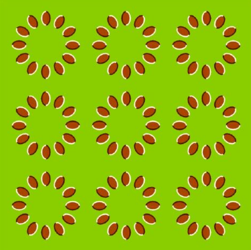 <p>occurs when an object is stationary, but we perceive it as moving</p>