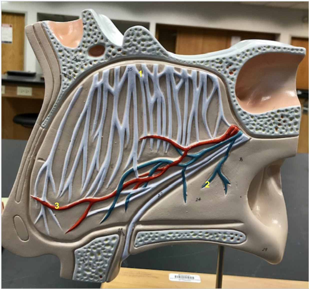 <p>This image depicts what? Identify</p>